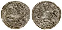 denar 1560, Wilno, bardzo ładny i bardzo rzadki,