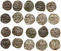 zestaw 21 denarów jagiellońskich, zestaw denarów