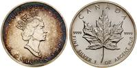 5 dolarów 1993, Ottawa, Liść klonu, srebro próby