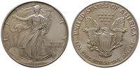 1 dolar 1993, srebro 31.31 g
