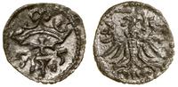 denar 1555, Gdańsk, Białk.-Szw. 409, CNG 81.VII,