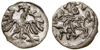denar 1557, Wilno, ładny, Cesnulis-Ivanauskas 2S