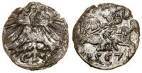 denar 1557, Wilno, patyna, Cesnulis-Ivanauskas 2