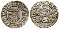 denar 1533 KB, Kremnica, piękny, Huszár 935