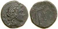 brąz ok. 79–65 pne, Aw: Głowa Dionizosa w prawo,