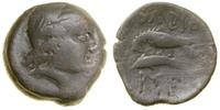 brąz ok. 350–300 pne, Aw: Głowa Demeter w prawo,