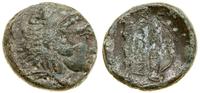 brąz ok. 336–323 pne, Aw: Głowa młodego Herakles