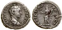 denar 200–202, Rzym, Aw: Popiersie cezara w praw