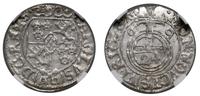 półtorak 1669, Ryga, 24 w jabłku, piękna moneta 