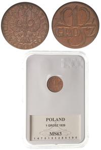 1 grosz 1939, Warszawa, Moneta w pudelku GCN z c