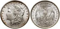 1 dolar 1885 O, Nowy Orlean, typ Morgan, drobne 