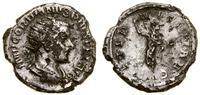 denar - suberat 241–243, Rzym, Aw: Popiersie ces