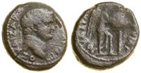 brąz ok. 71–73, Aw: Głowa cesarza Tytusa w prawo