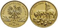 2 złote 1999, Warszawa, Wilk – Canis lupus, nord