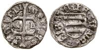 denar bez daty (1436–1437), Koszyce, Aw: Krzyż l