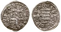 denar bez daty (1431–1434), Kremnica, Aw: Krzyż 