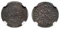 szeląg 1575, Ryga, moneta w pudełku NGC 5974526-