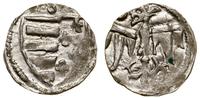 Polska, denar, bez daty (1370–1382)