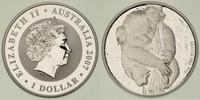 dolar 2007, Miś Koala, srebro "999" 31.32 g, ste