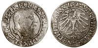 grosz 1545, Brzeg, moneta minimalnie podgięta, F