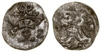 denar 1552, Gdańsk, bardzo rzadki rocznik, CNG 8