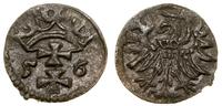 denar 1556, Gdańsk, patyna, CNG 81.VIII, Kop. 73