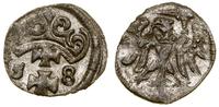 denar 1558, Gdańsk, CNG 81.X, Kop. 7354 (R4), Ty