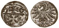 denar 1557, Elbląg, CNCE 234, Kop. 7101 (R3), Pf