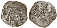 denar 1560, Królewiec, rzadki rocznik, Kop. 3755