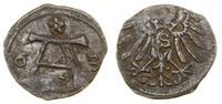 denar 1563, Królewiec, rzadki rocznik, Kop. 3756