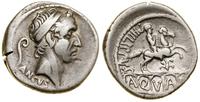 denar 57 pne, Rzym, Aw: Głowa Ancusa Marciusa w 