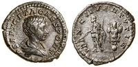 denar 200–202, Rzym, Aw: Popiersie cezara w praw