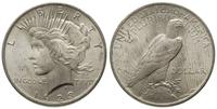 1 dolar 1923, Filadelfia, srebro 26.74 g