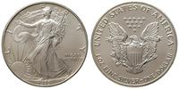 1 dolar 1993, srebro "999" 31.34 g, stempel zwyk
