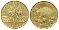 2 złote 1996, Warszawa, Jeż, nordic gold, Parchi
