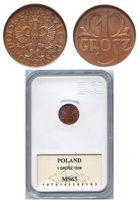 grosz 1938, Warszawa, moneta w pudełku GCN z cer