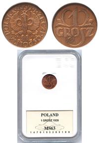 grosz 1939, Warszawa, moneta w pudełku GCN z cer