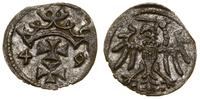 denar 1549, Gdańsk, patyna, rzadki rocznik, pięk