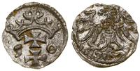 denar 1550, Gdańsk, minimalnie wyszczerbiony krą
