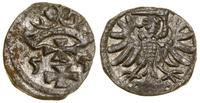 denar 1555, Gdańsk, patyna, nieco niecentrycznie