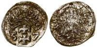 denar 1557, Gdańsk, odmiana z ozdobną koroną, pa
