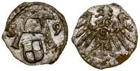 denar 1559, Królewiec, ładny blask menniczy, Kop
