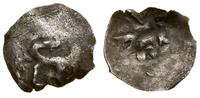 pieniądz (1/2 Bohemian Groat) ok. 1394 r., Wilno
