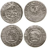 Polska, zestaw: 2 x półgrosz koronny, bez daty
