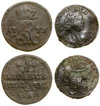zestaw 2 monet, w zestawie: szeląg 1751 Grünthal