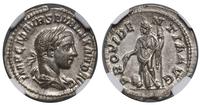 denar 233–235, Rzym, Aw: Głowa cesarza w wieńcu 
