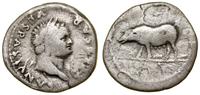denar 77–79, Rzym, Aw: Głowa cesarza w wieńcu la