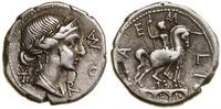 Republika Rzymska, denar, 114–113 pne