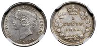 Kanada, 5 centów, 1893