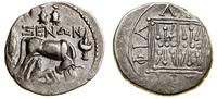 drachma ok. 229–100 pne, Aw: Krowa w prawo, z gł